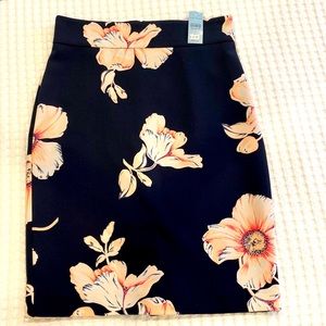 NWT! Ann Taylor knee length pencil skirt